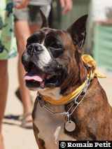 070820101334c 070820101334c