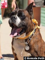 070820101334d 070820101334d