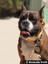 070820101334e 070820101334e