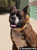 070820101334f 070820101334f