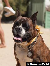 070820101334g 070820101334g