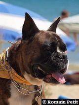 070820101334h 070820101334h