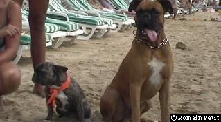 neronne_et_norton_001