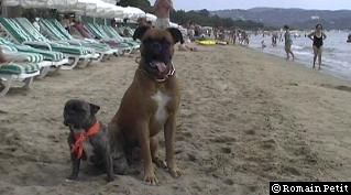 neronne_et_norton_002