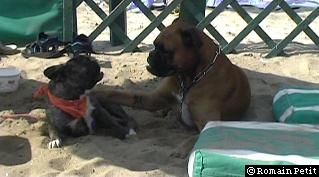 neronne_et_norton_009