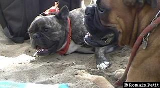 neronne_et_norton_011