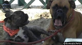 neronne_et_norton_013