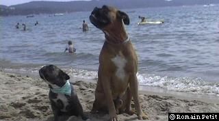 neronne_et_norton_015