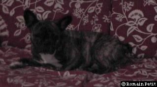 neronne_073