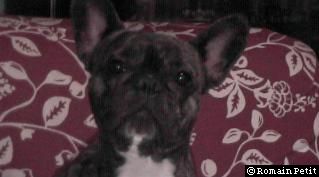 neronne_084