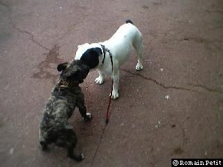 neronne_et_oskar_002