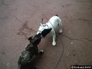 neronne_et_oskar_003