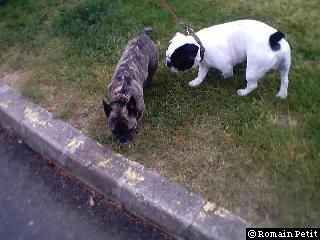 neronne_et_oskar_005