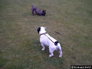 neronne_et_oskar_009