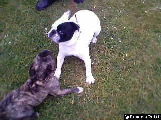 neronne_et_oskar_019