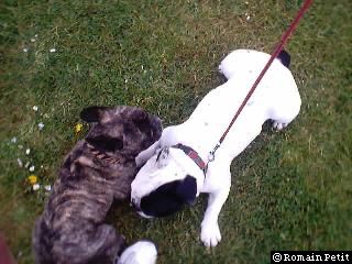 neronne_et_oskar_022