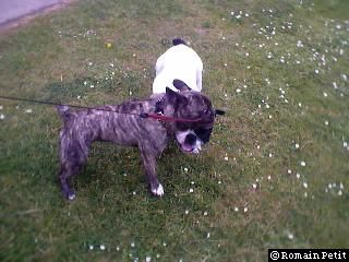 neronne_et_oskar_024