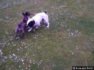 neronne_et_oskar_025