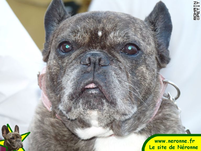 2009-08-08_20-24-19 2009-08-08_20-24-19