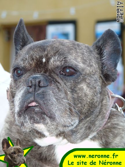 2009-08-08_20-24-31 2009-08-08_20-24-31