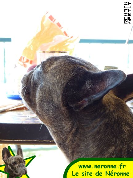 2009-08-12_10-15-11 2009-08-12_10-15-11