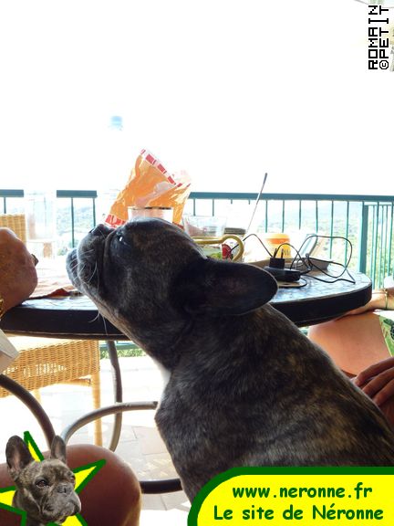 2009-08-12_10-15-19 2009-08-12_10-15-19