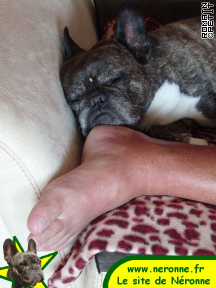 2009-08-12_17-40-16 2009-08-12_17-40-16