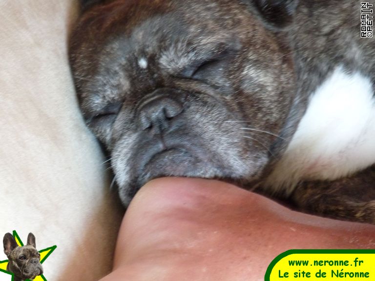 2009-08-12_17-41-36 2009-08-12_17-41-36