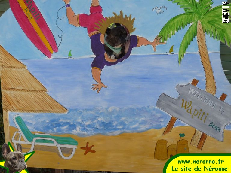 2009-08-16_11-08-55 2009-08-16_11-08-55