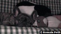 neronne_011 neronne_011