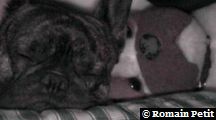 neronne_012 neronne_012