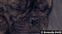 neronne_016 neronne_016