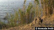 neronne_321 neronne_321