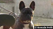 neronne_322 neronne_322
