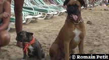 neronne_et_norton_001 neronne_et_norton_001