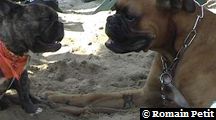 neronne_et_norton_010 neronne_et_norton_010