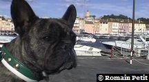 neronne_367 neronne_367