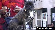 neronne_369 neronne_369