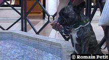 neronne_372 neronne_372