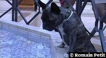 neronne_374 neronne_374