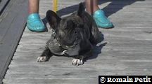 neronne_378 neronne_378