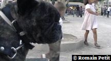 neronne_383 neronne_383