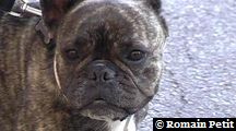 neronne_385 neronne_385