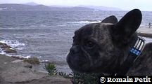 neronne_389 neronne_389