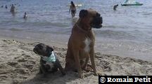 neronne_et_norton_017 neronne_et_norton_017