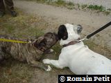 Néronne et Oskar Néronne et Oskar