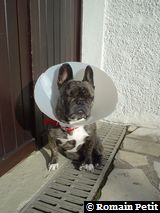 171120031346d 171120031346d