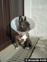 171120031346f 171120031346f