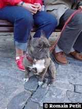 140420041724 140420041724