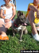 060820041813c 060820041813c